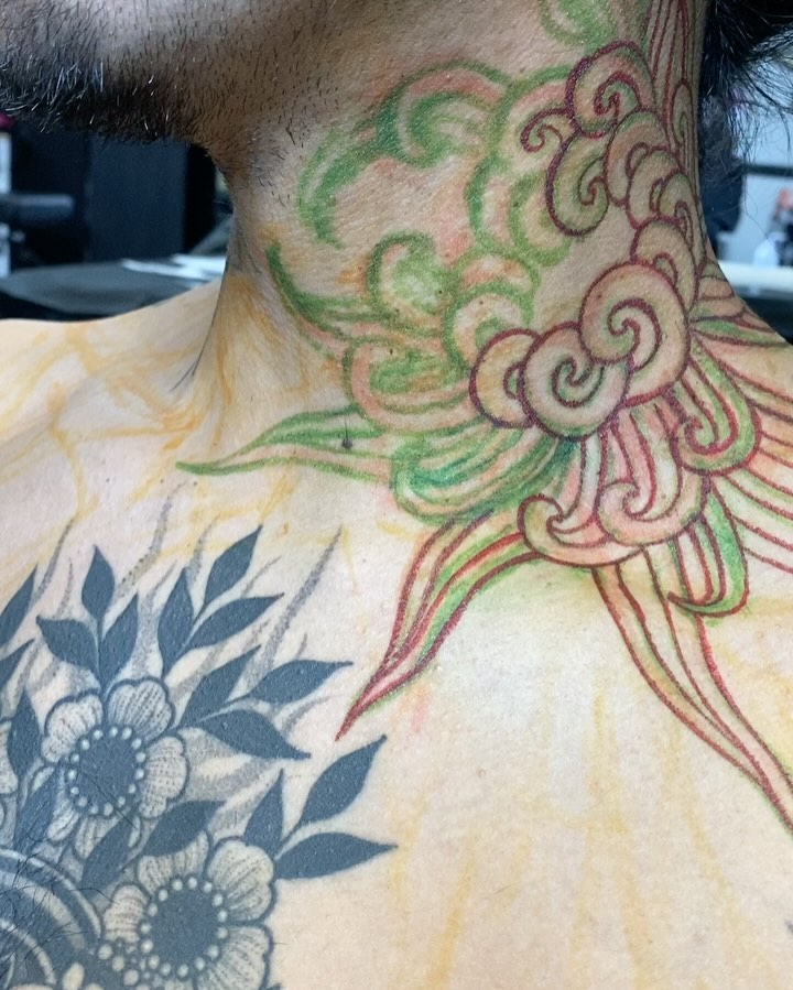 Animal, Dragon