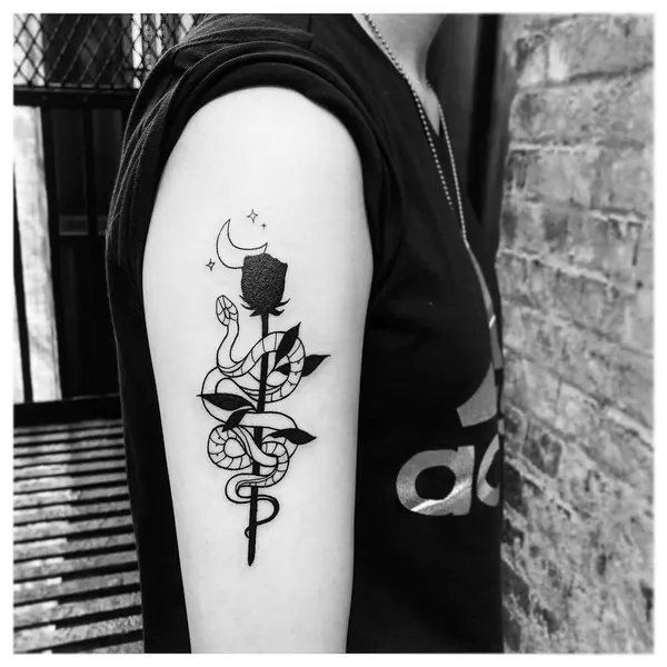 Flower, Rose