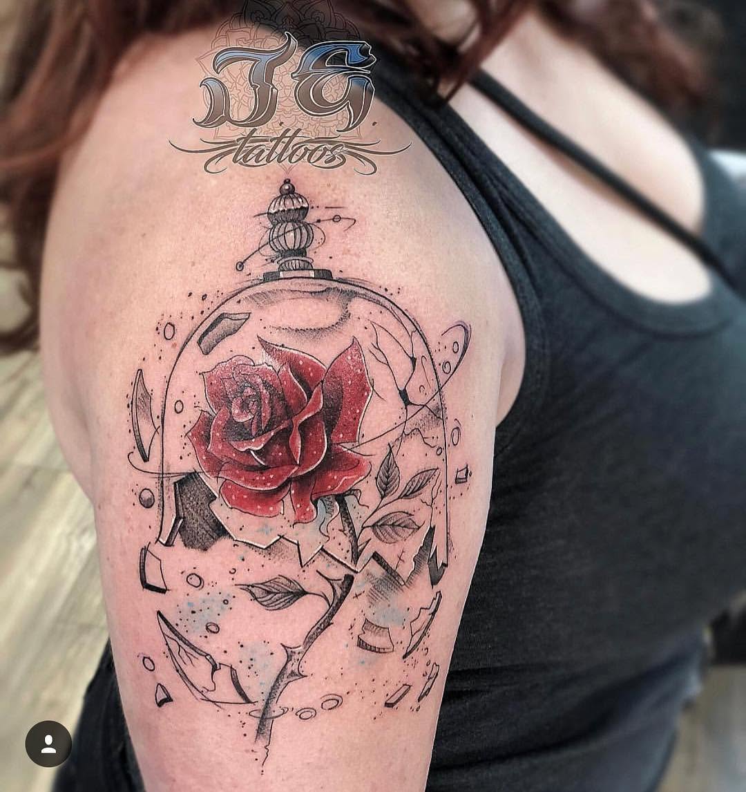 Flower, Rose, Nature