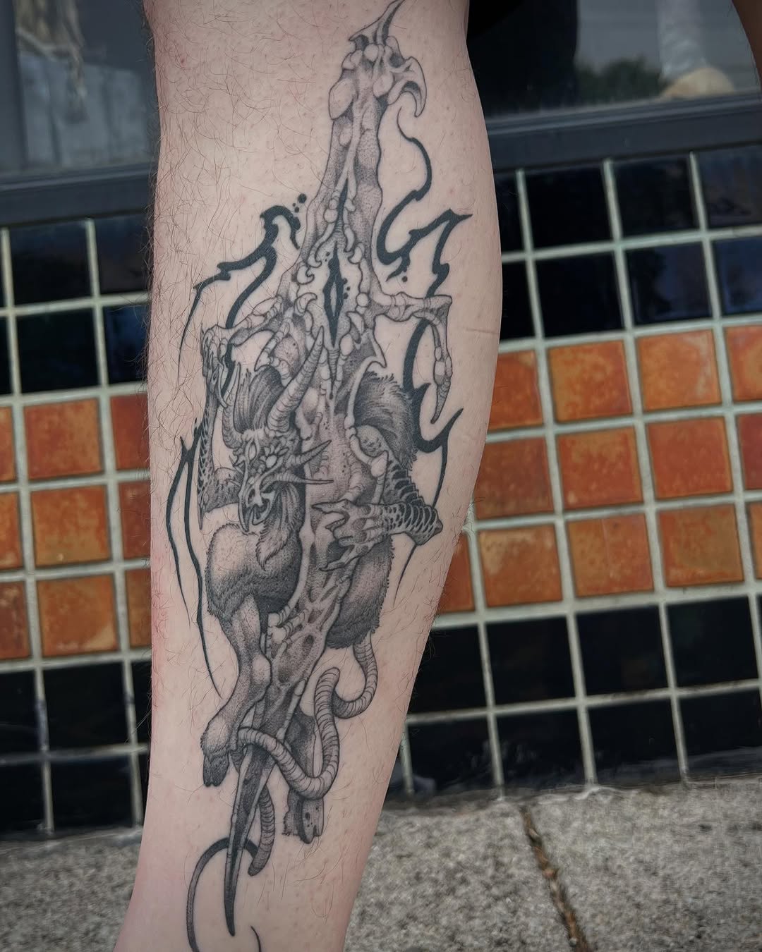 Dragon