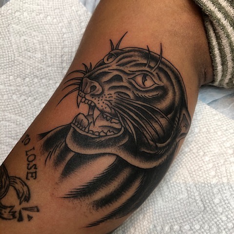 Tiger, Animal
