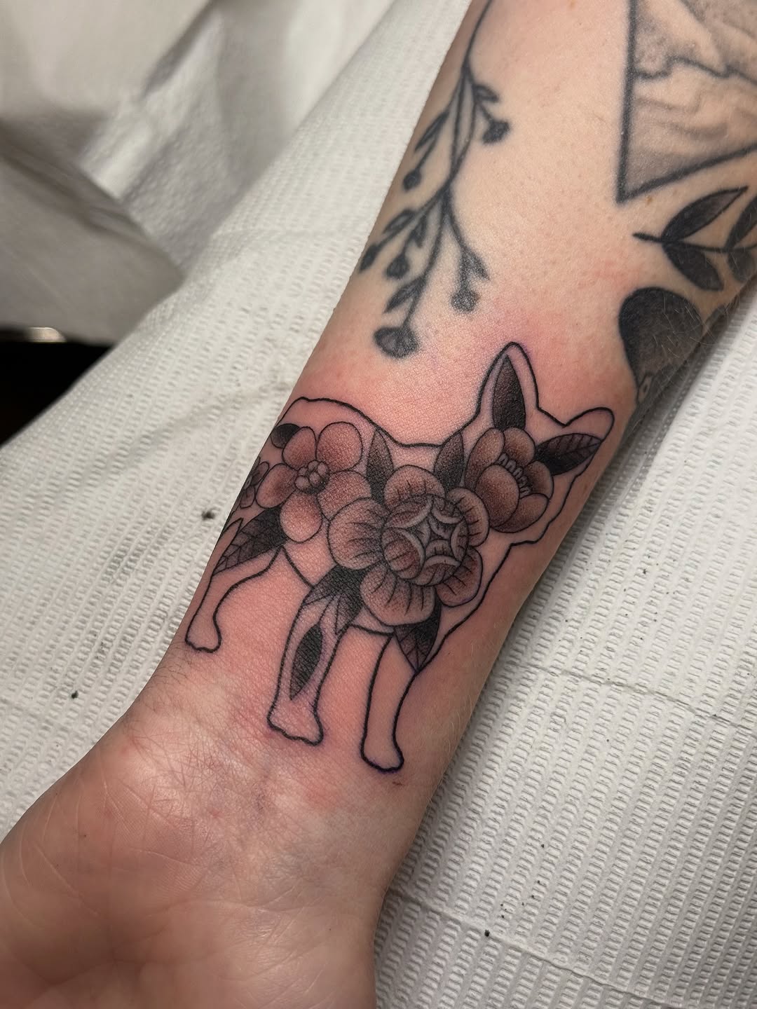 Animal