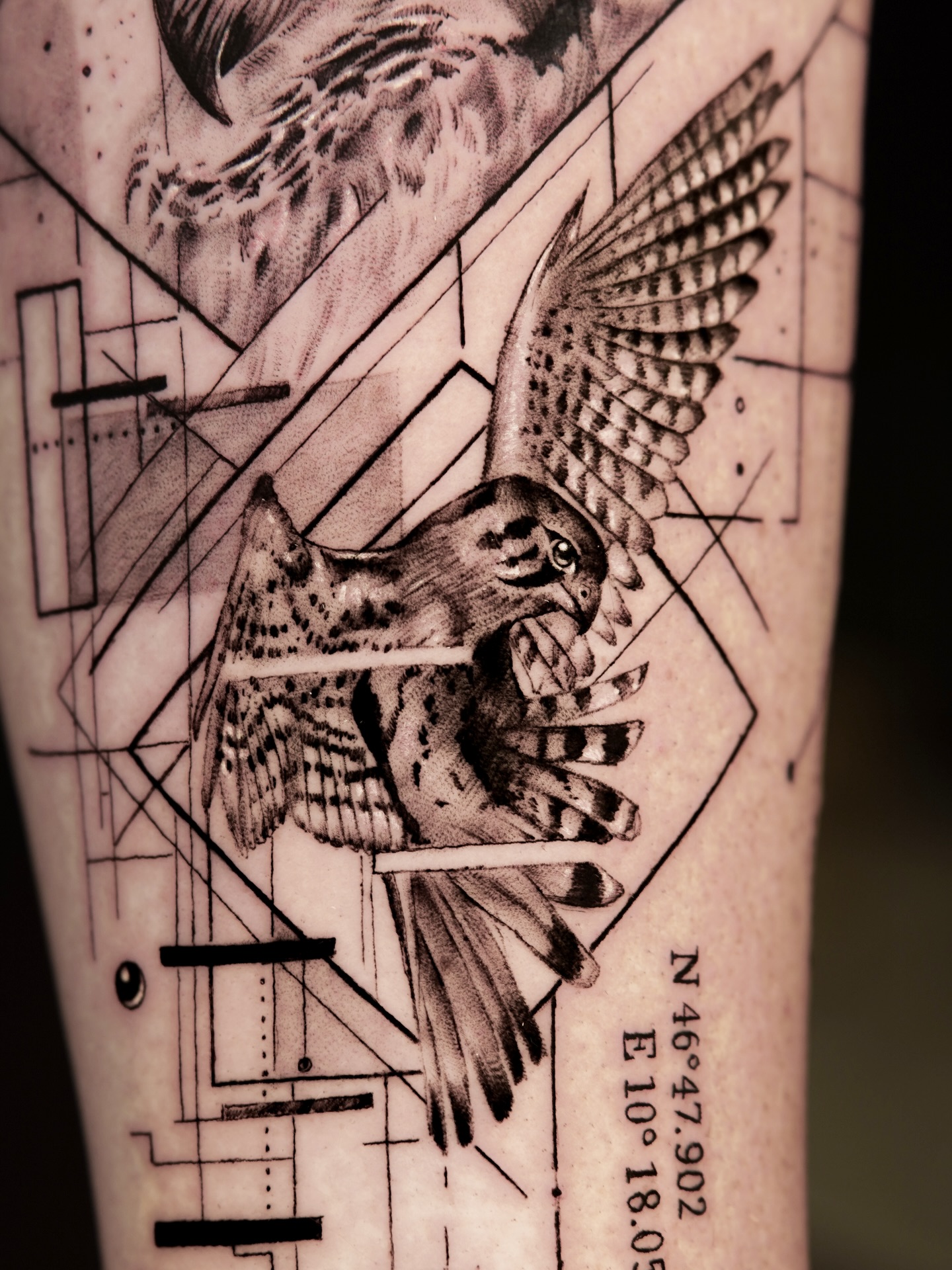 wm.tatts