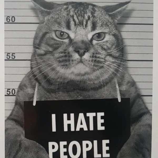 Animal
