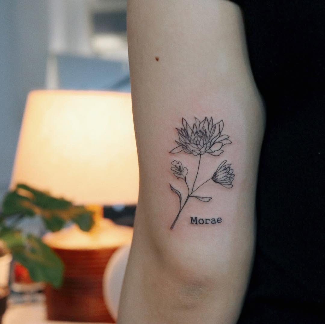 Flower, Rose