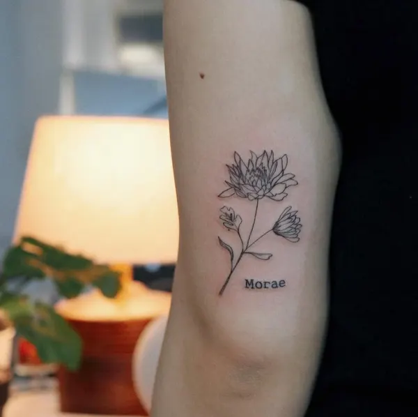 Flower, Rose