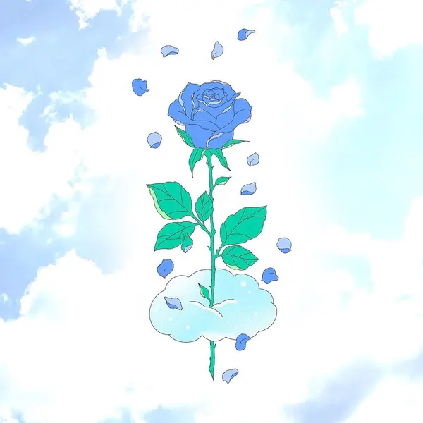 Flower, Rose, Nature
