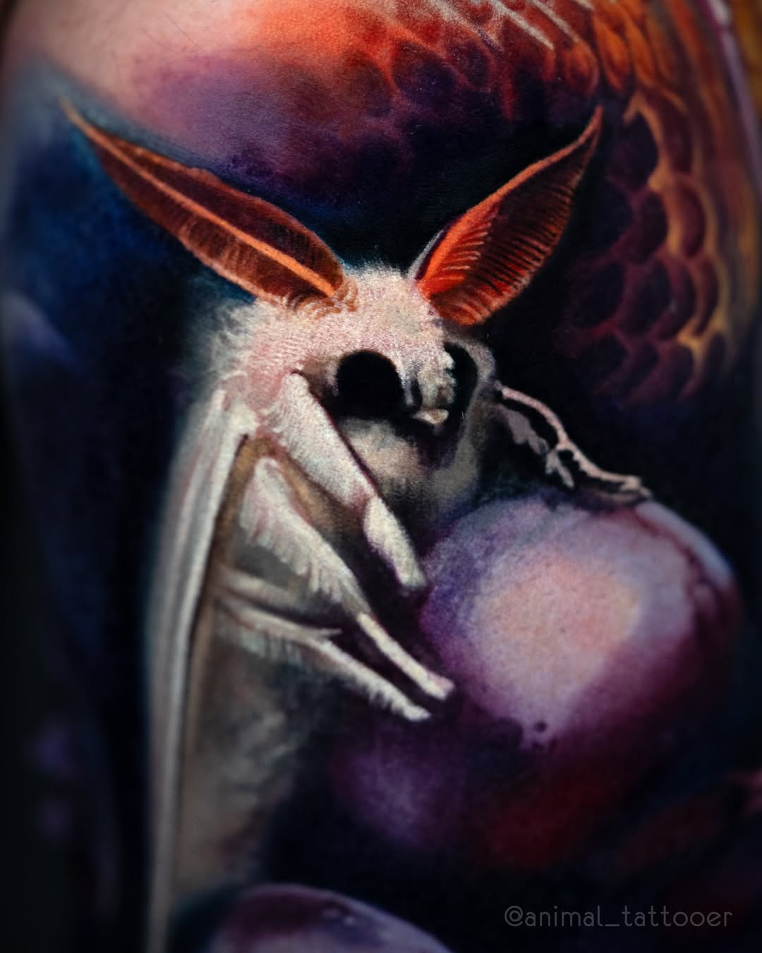 animal_tattooer