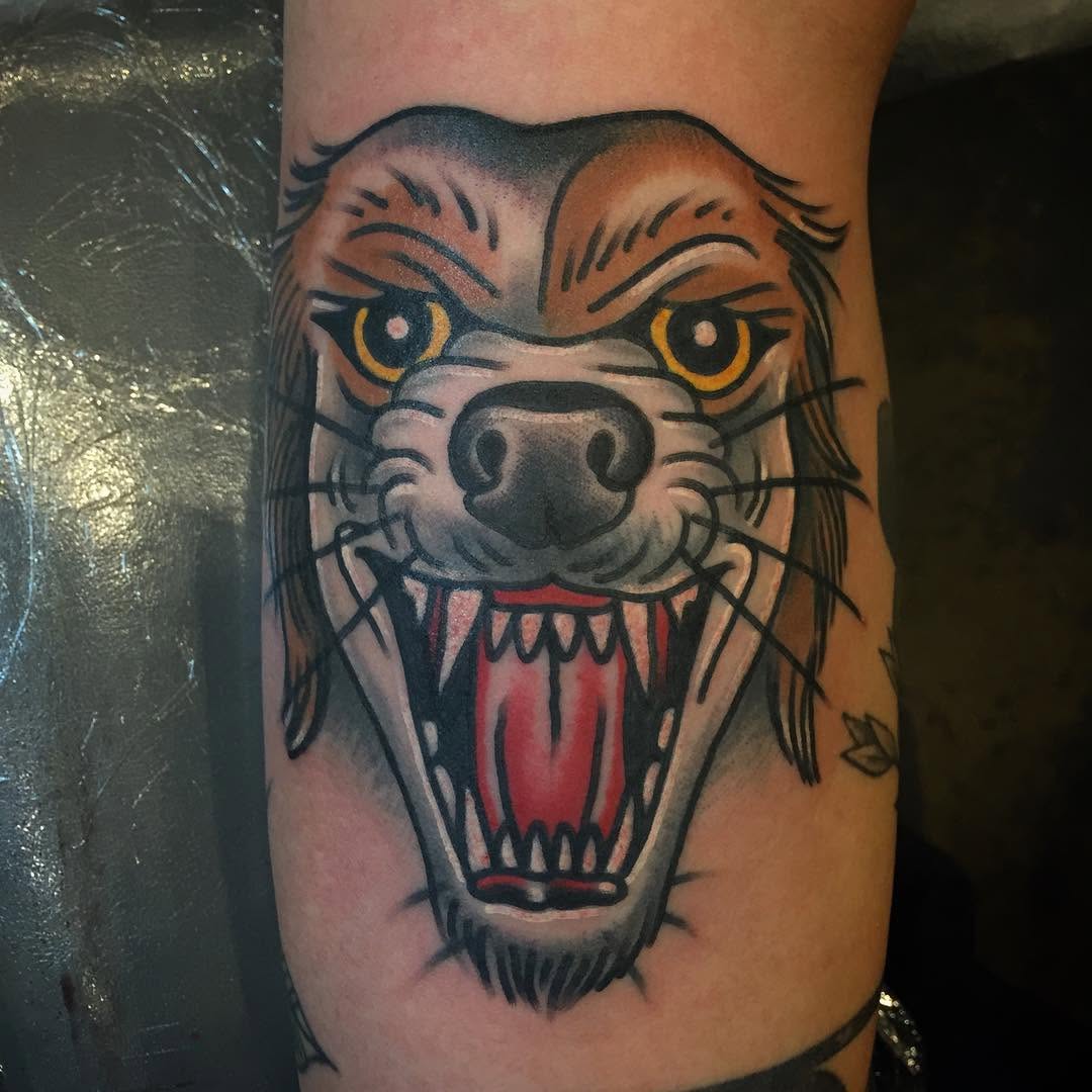 Tiger, Animal