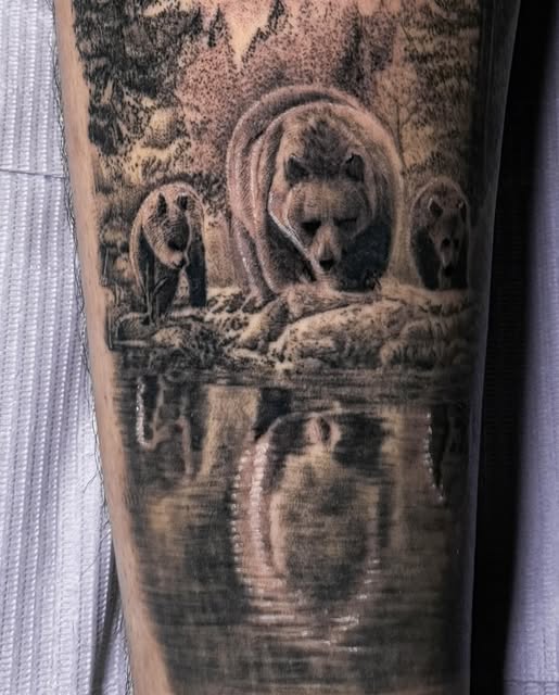 Animal, 곰