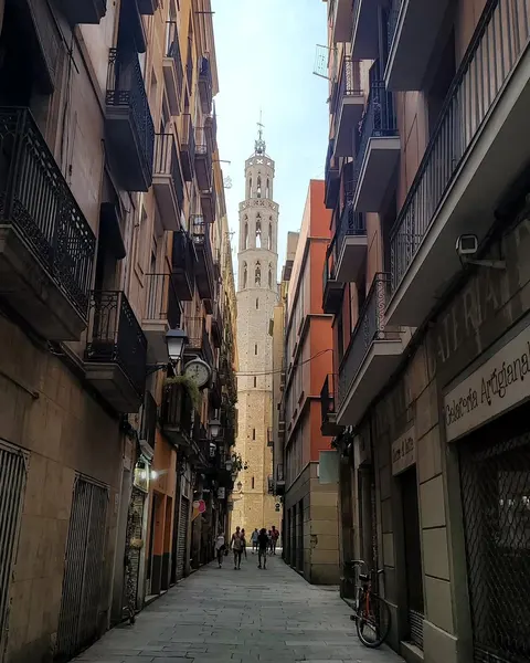 stefanoalcantara
