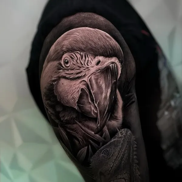 Animal, Nature, 앵무새