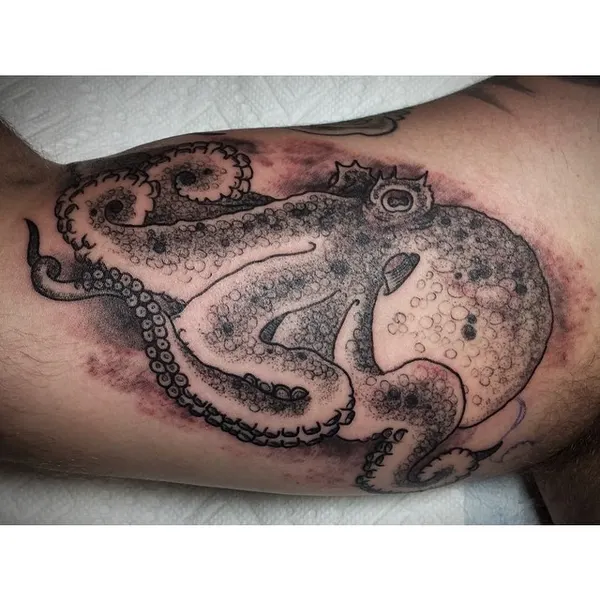 Animal