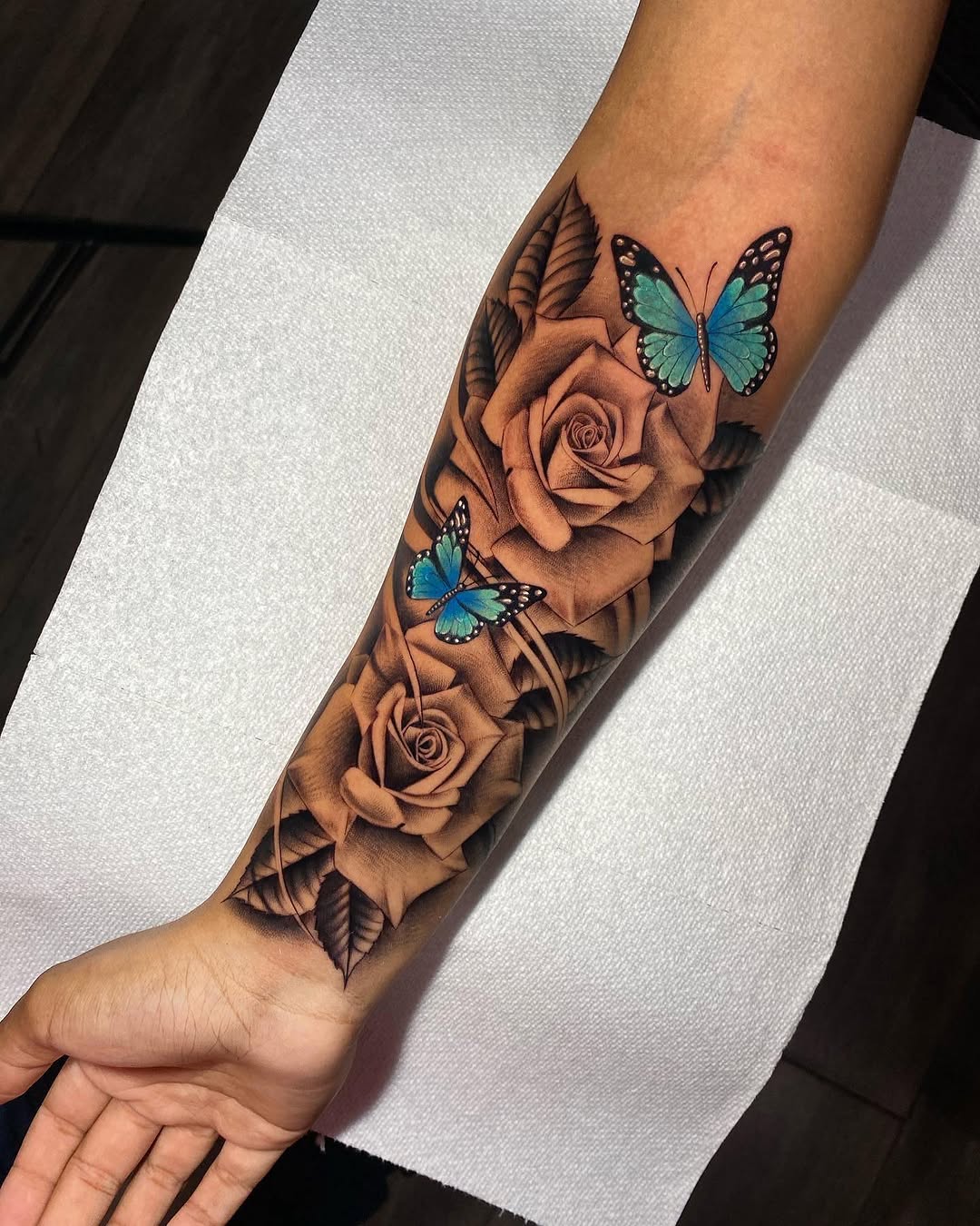 Flower, Animal, Nature, Rose