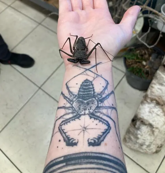 Animal