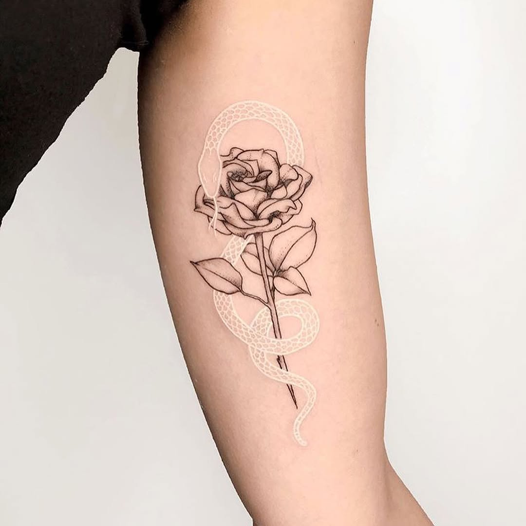 Rose, Flower