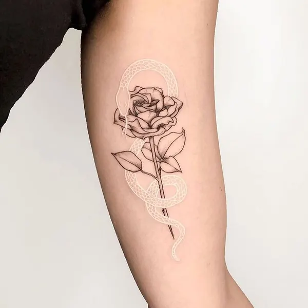 Rose, Flower