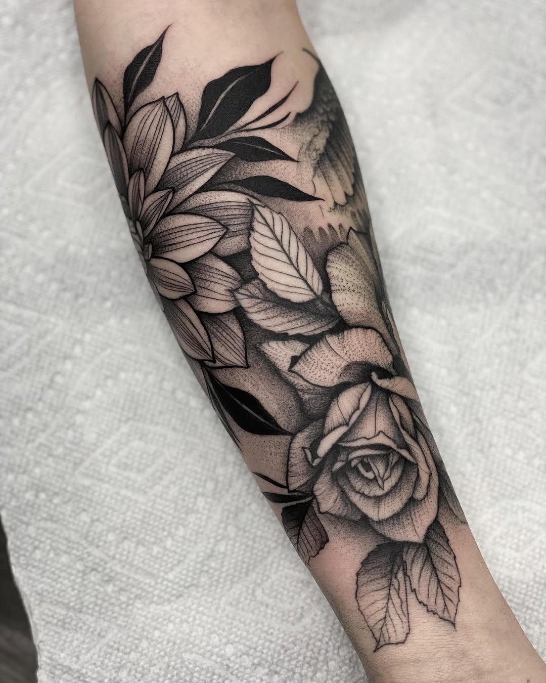 Flower, Rose