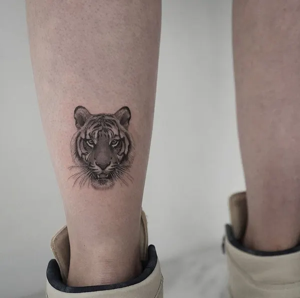 Tiger, 치타, 표범, 발자국