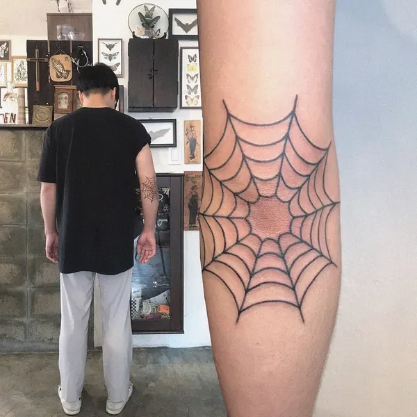 거미, 대칭
