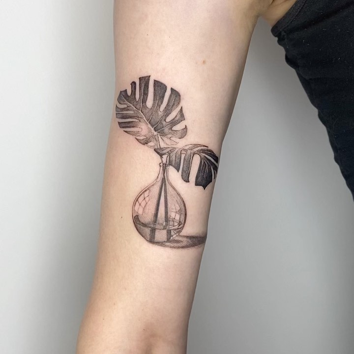 plantsnpokes