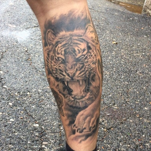 Tiger
