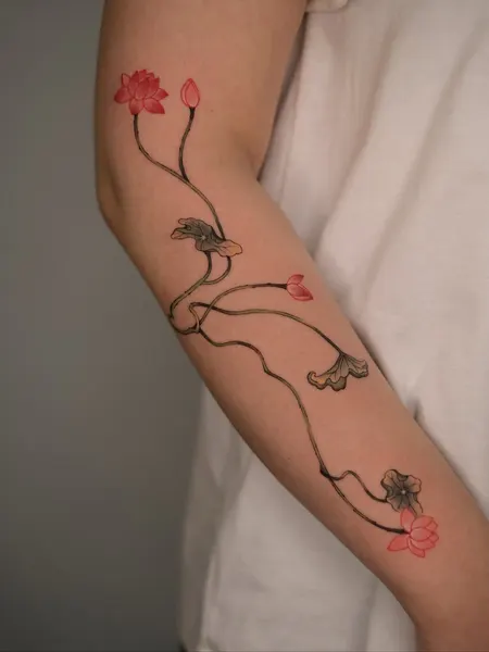 Flower, Rose, 강