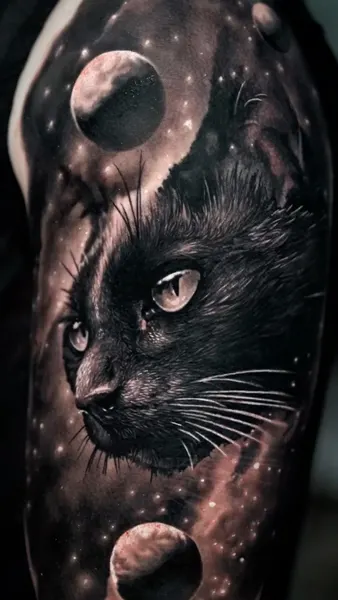Animal