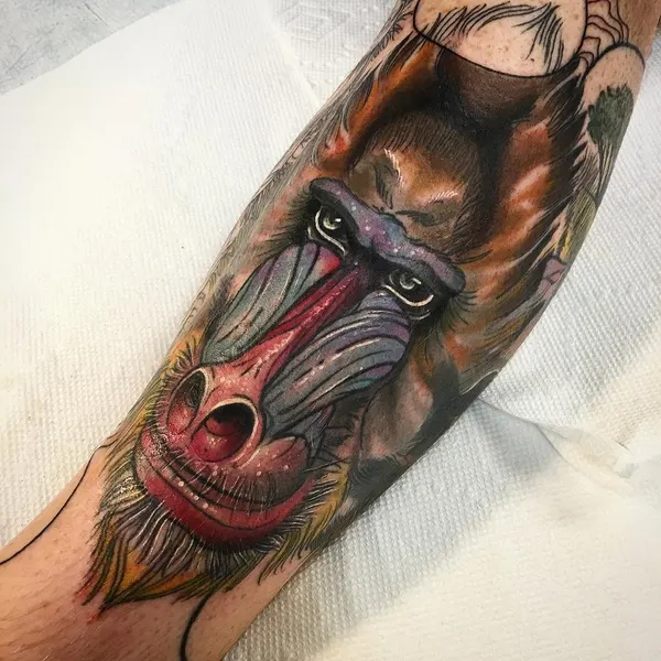 Tiger, Animal