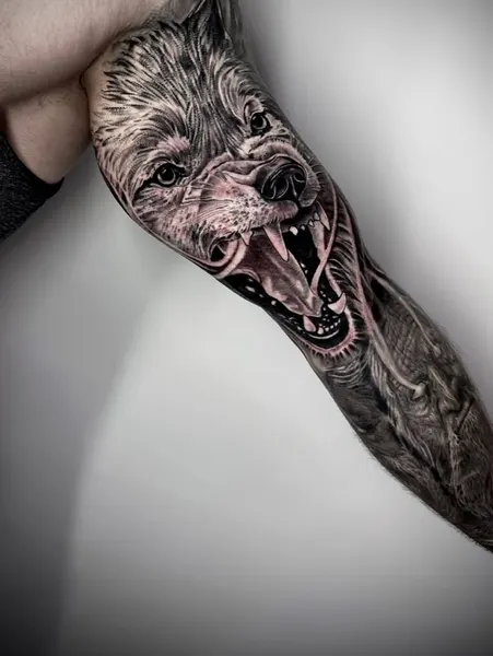 Tiger, Animal