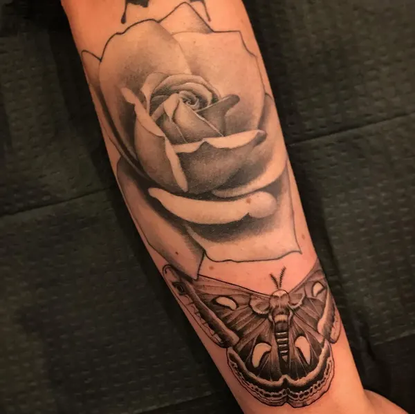 Animal, Nature, Flower