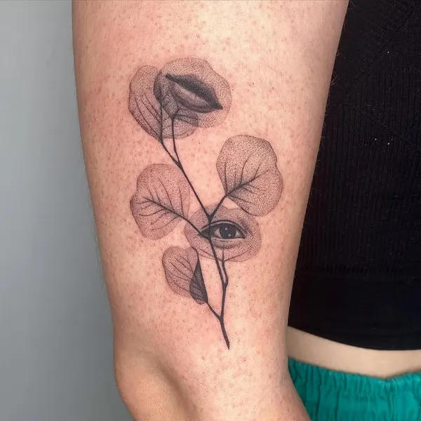 Flower, Rose, Nature