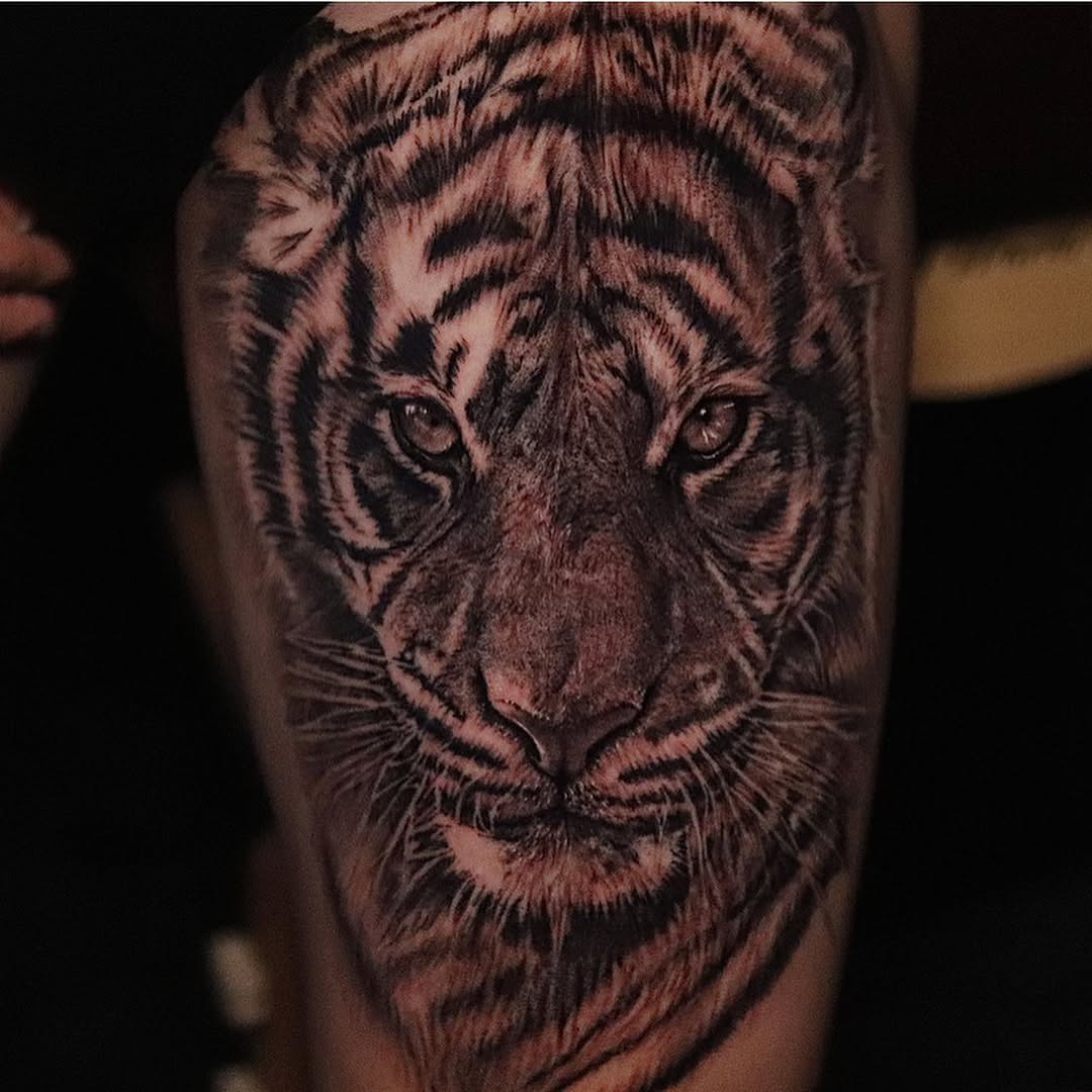 Tiger, 중국 호랑이