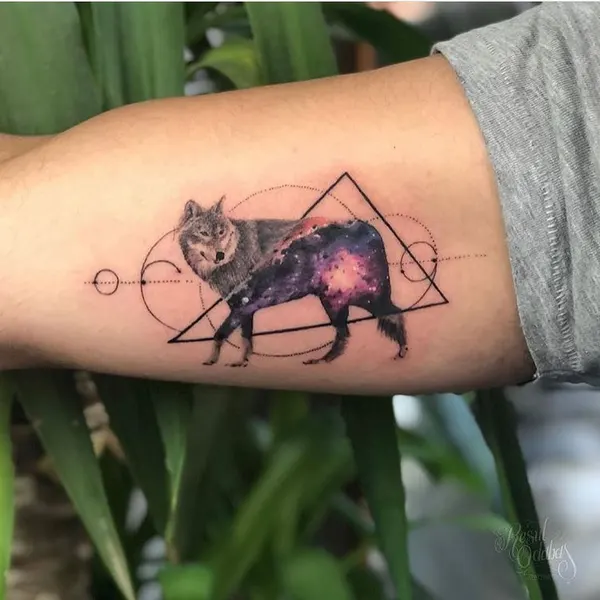 equilattera