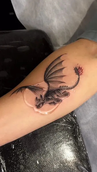 Dragon, 판타지