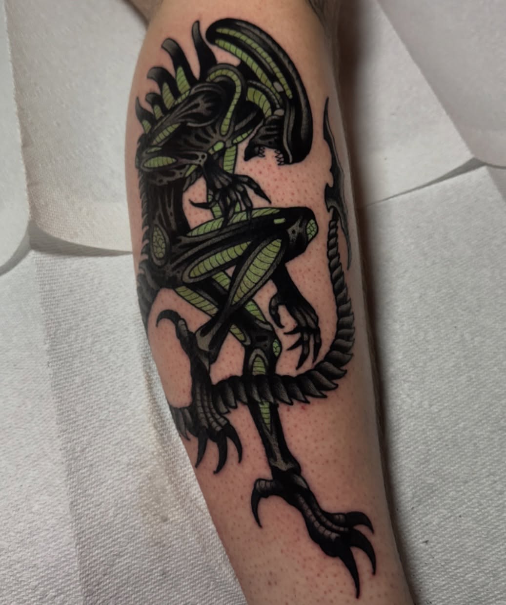Dragon