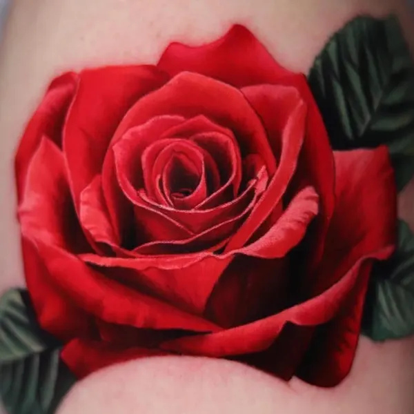 Flower, Rose