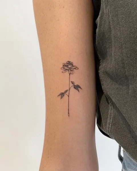 Flower, Rose