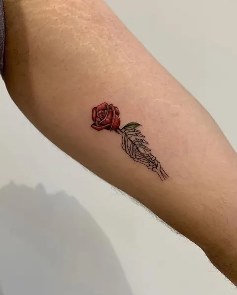 Flower, Rose