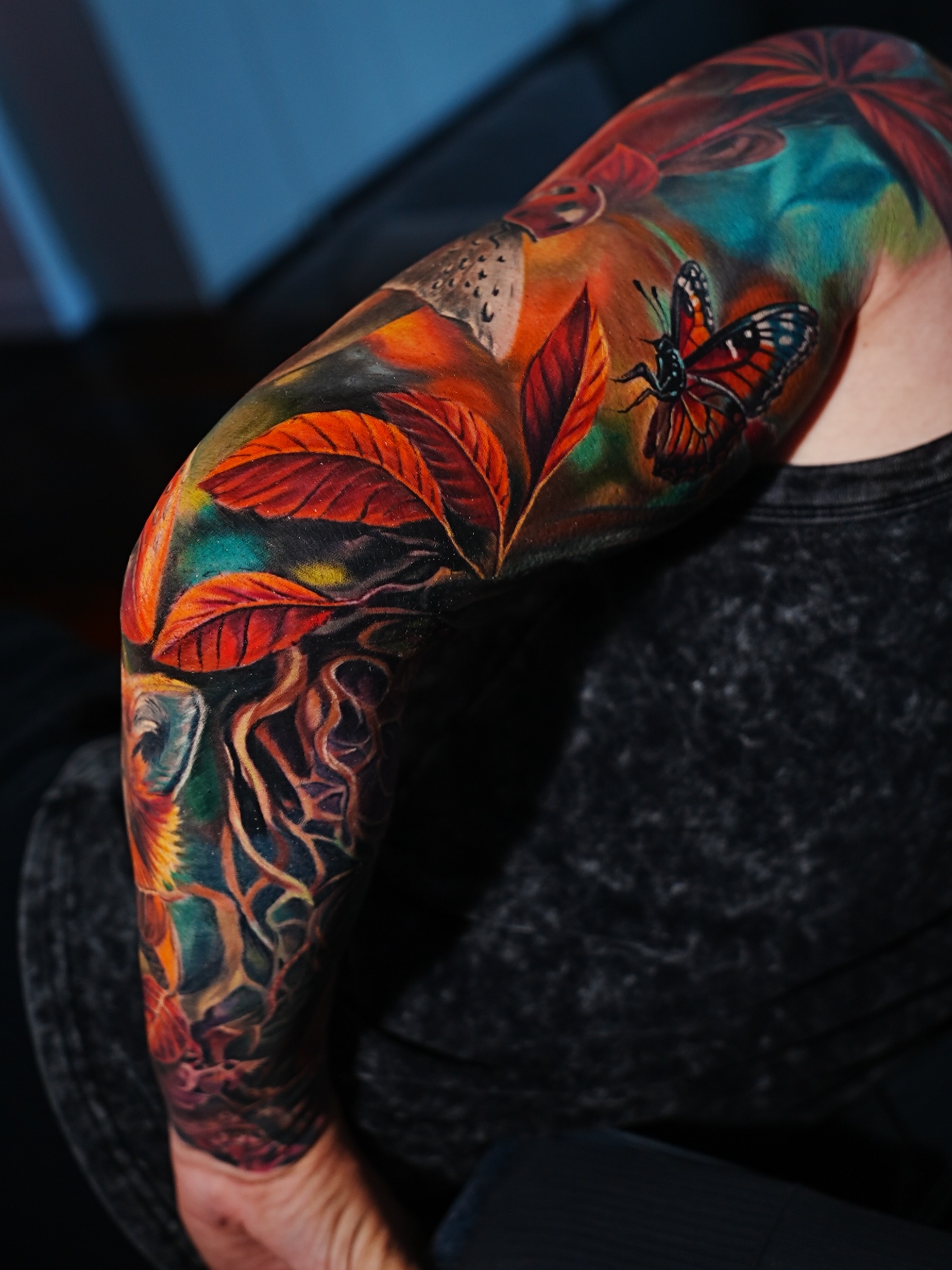 Nature, Animal, Flower, Rose