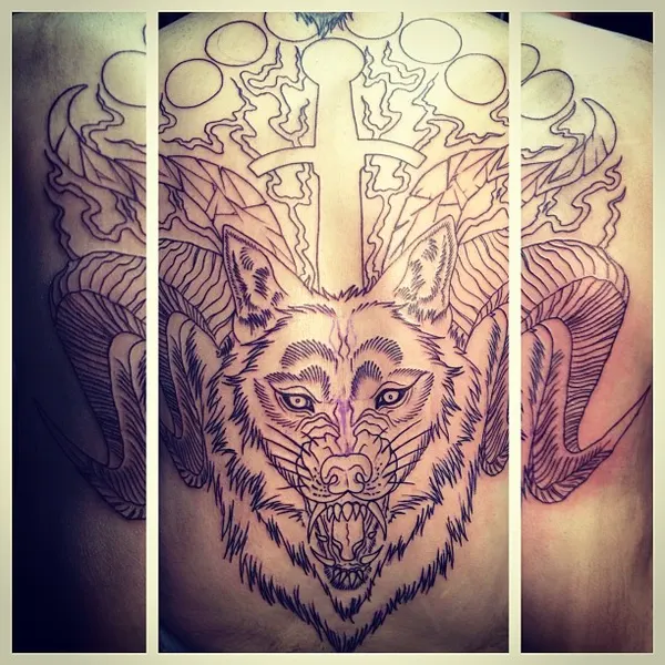 Tiger, Animal