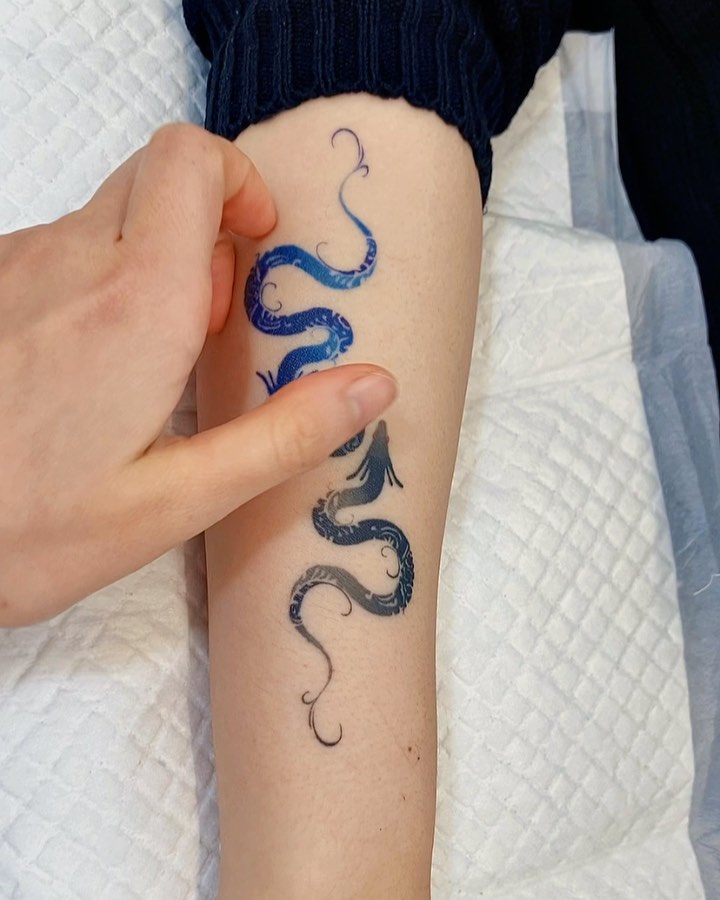 Dragon