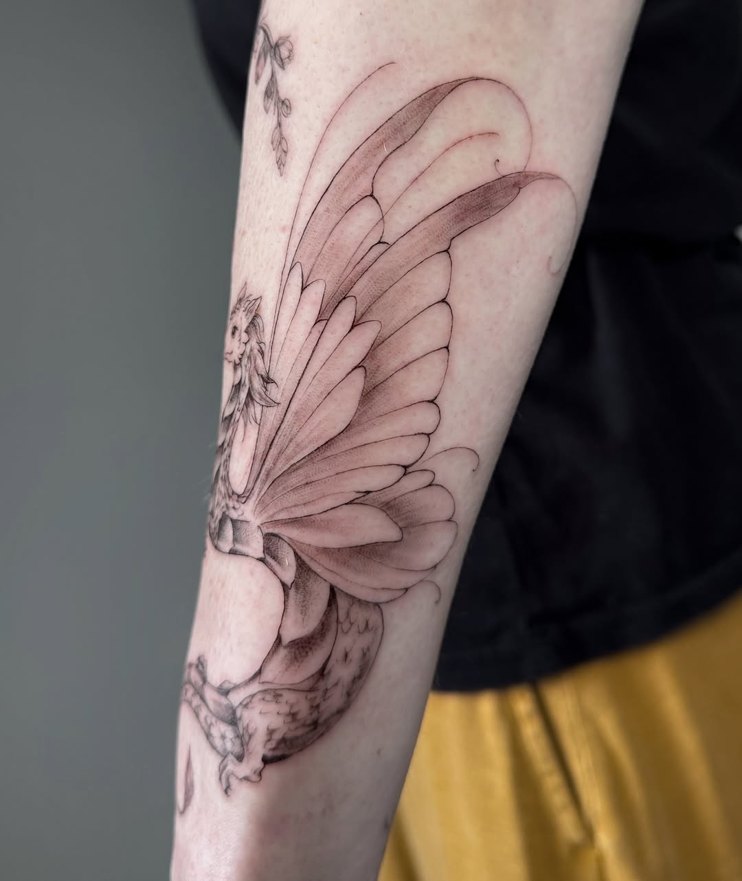 Dragon, 드래곤 라이더