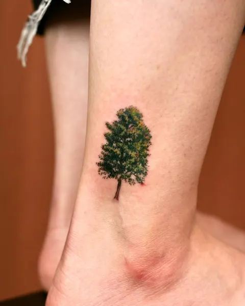 Nature, 나무, 숲, 소나무