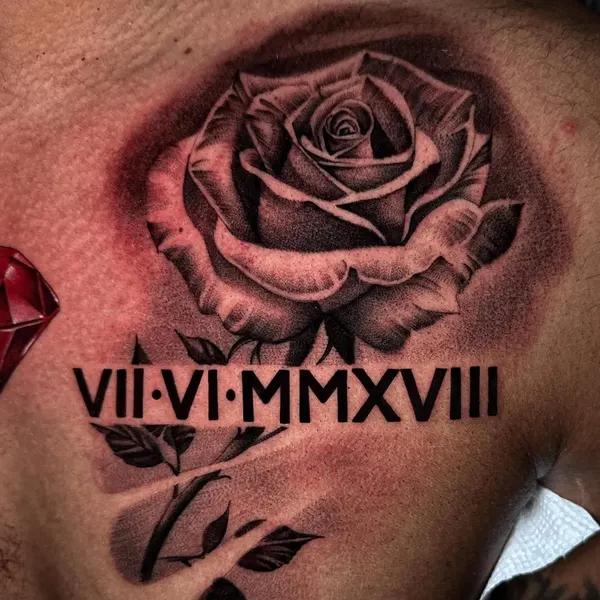Flower, Rose, Nature