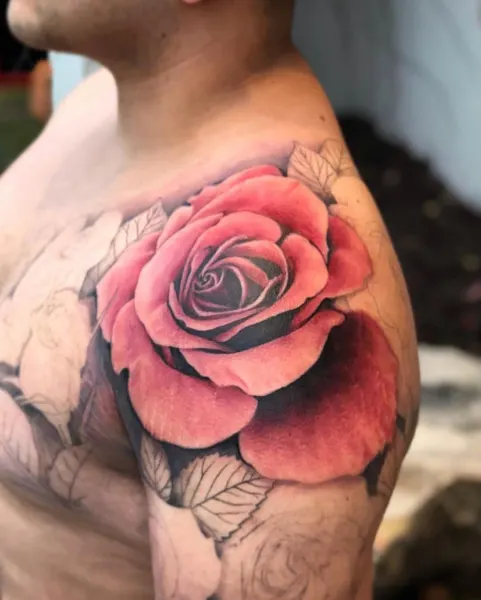 Flower, Rose, Nature