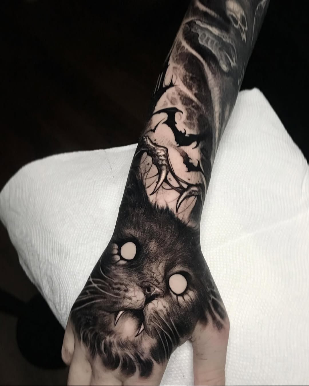 Animal