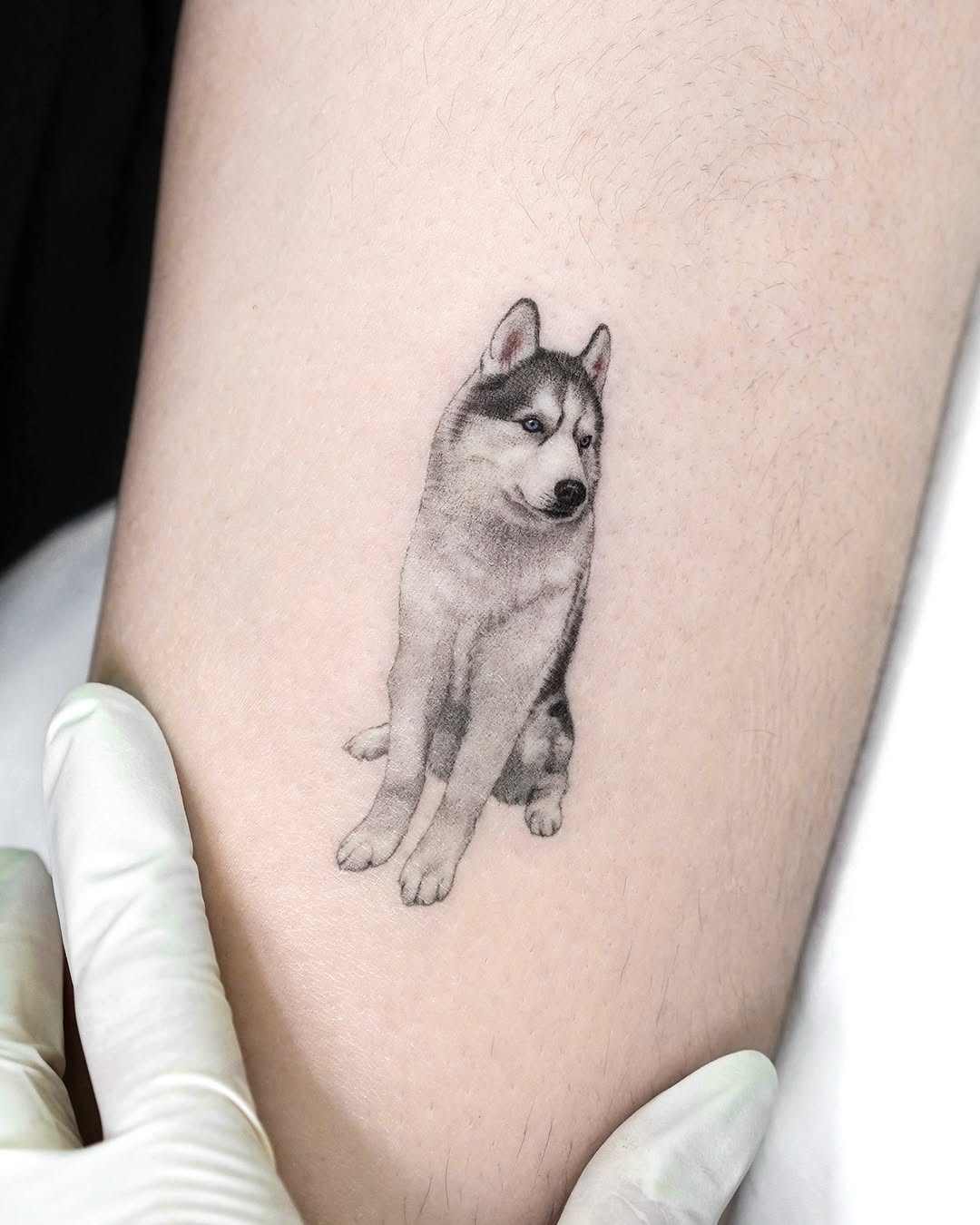 dorok.tattoo