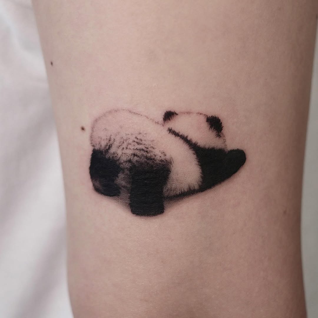40.tatt