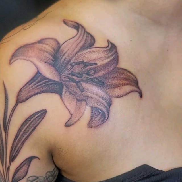 Flower, 백합